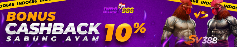 indo666-bonus-cashback-sabung-ayam